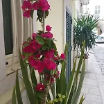 Arco Gentile Bed & Breakfast Bitonto