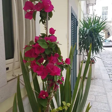 Arco Gentile Nocleg ze śniadaniem Bitonto